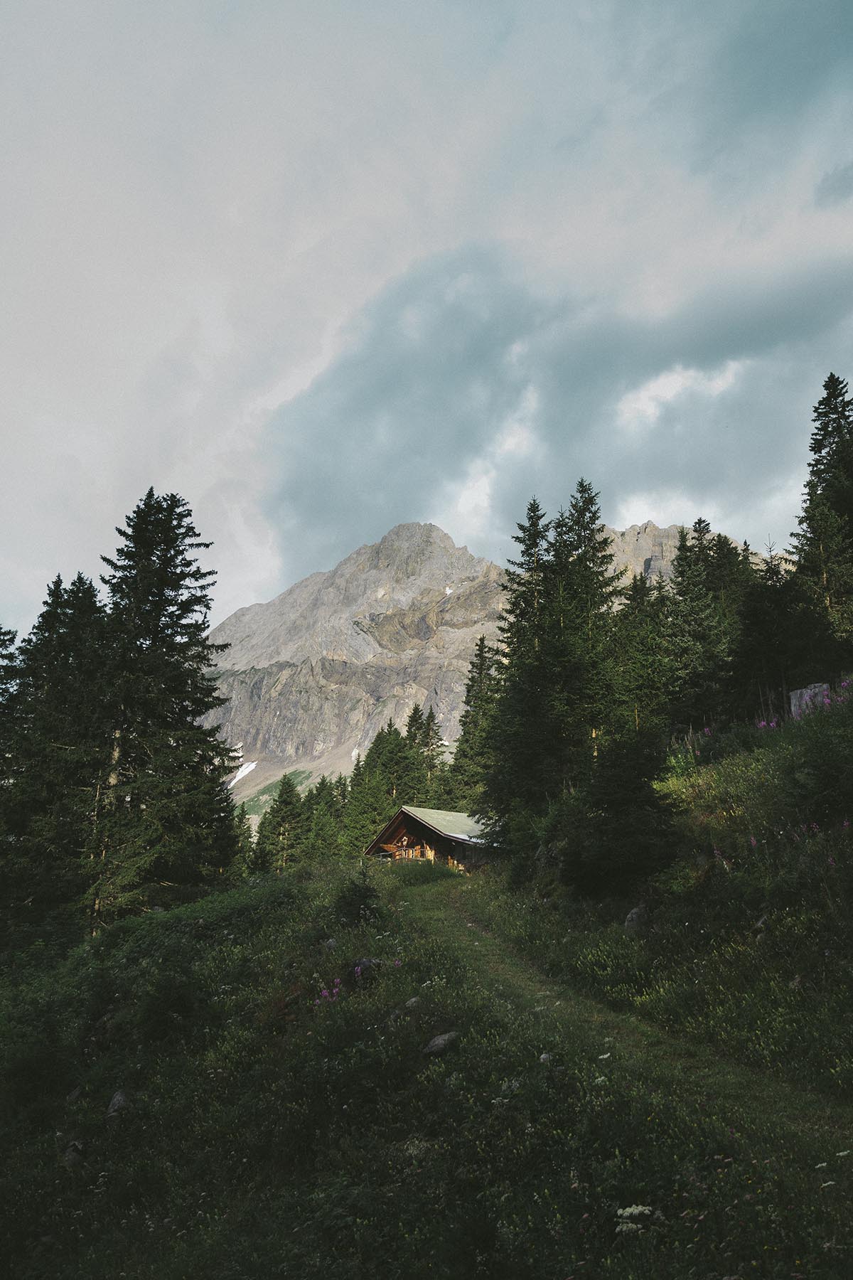 Eine kleine Hütte, umgeben von dichten Bäumen, am Fuße eines Berges unter einem bewölkten Himmel gelegen, bietet eine idyllische Szene, die perfekt für Werbefotografen aus Nürnberg ist, die atemberaubende, von der Natur inspirierte Geschäftsfotografie einfangen möchten.