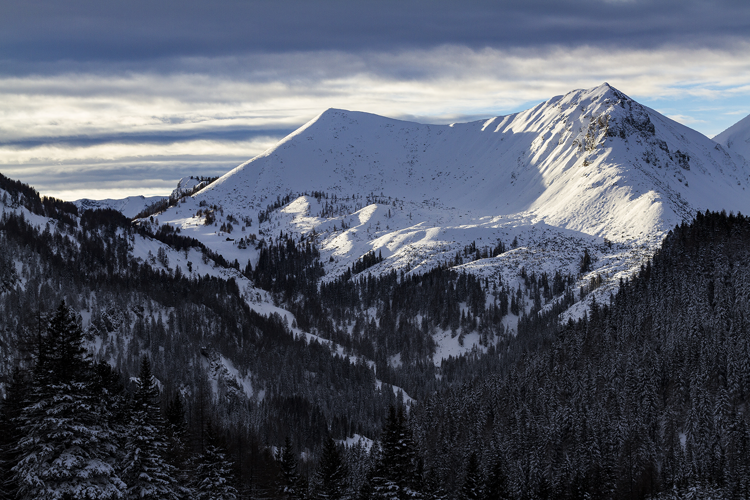 Schneebedeckte Berge mit dunklen Tannen im Vordergrund unter einem wolkigen Himmel, erinnern an eine Szene, die ein Werbefotograf aus Nürnberg eingefangen hat.